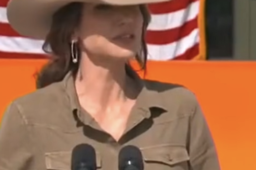 Featured image for Renee Nicole Good Was a Domestic Terrorist